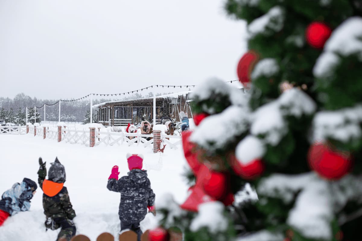 Весёлое рождество в Horseka