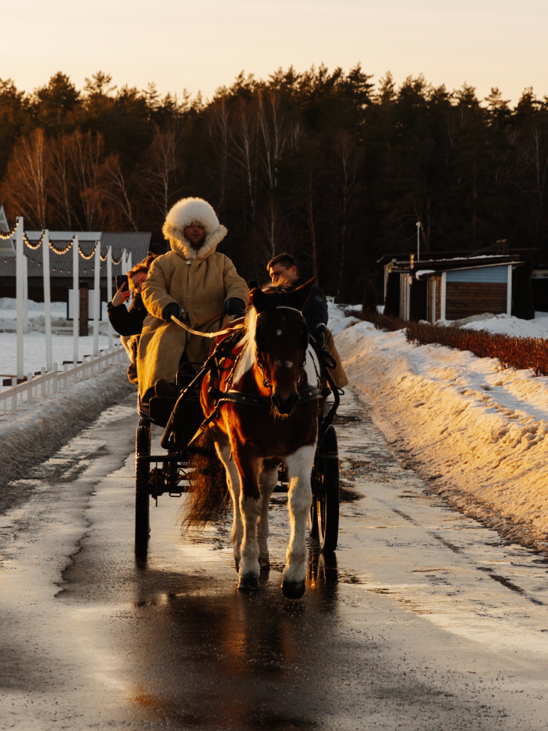 Зимнее катание на лошадях в Horseka Resort