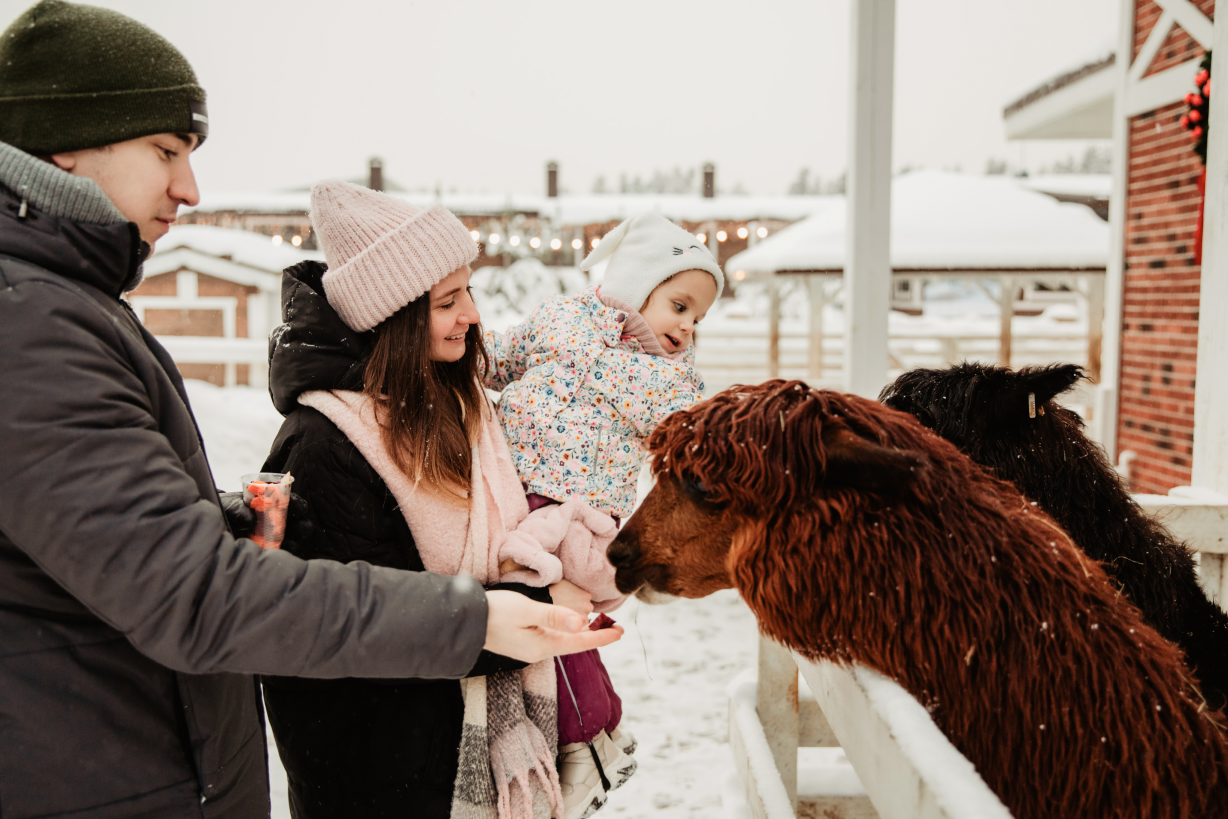 Контактная зооферма в Horseka