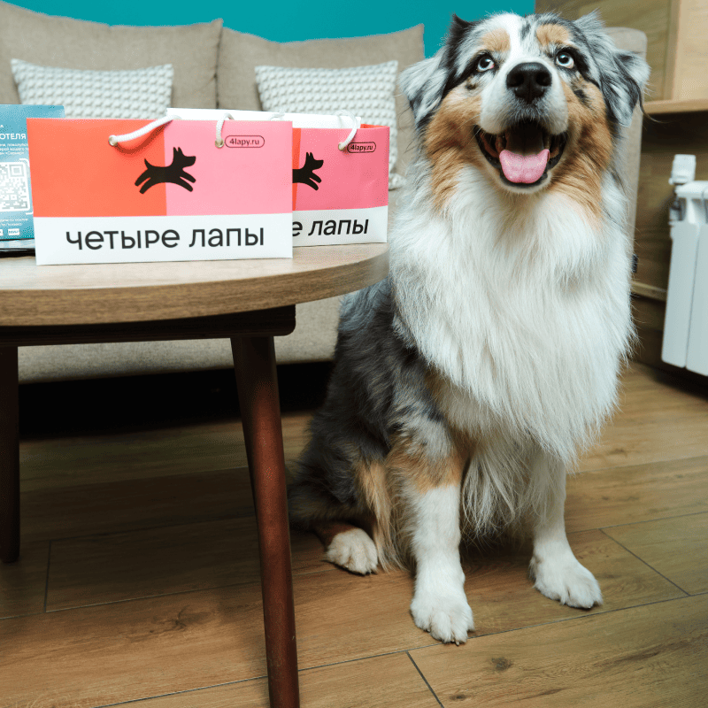 Питомцы проживают бесплатно